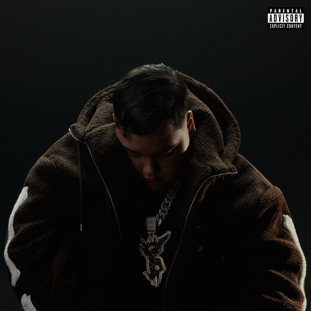 Album cover art for MAN IN BLACK