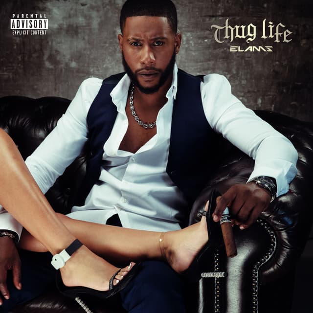 Album cover art for Thug Life