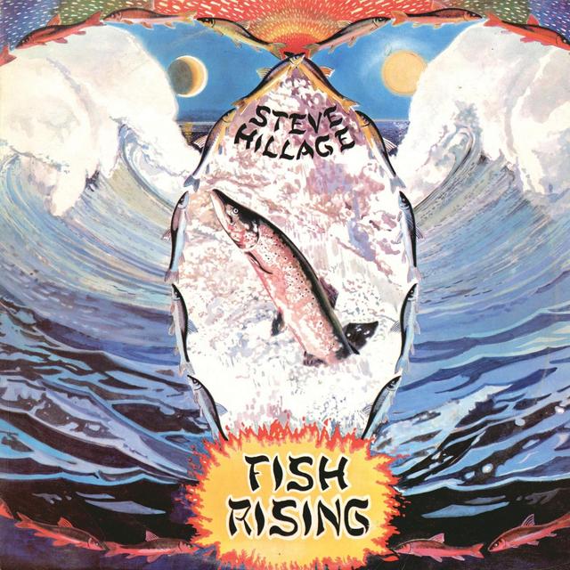 Album cover art for Fish Rising