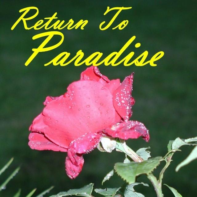 Album cover art for Return To Paradise - Jazz Big Band