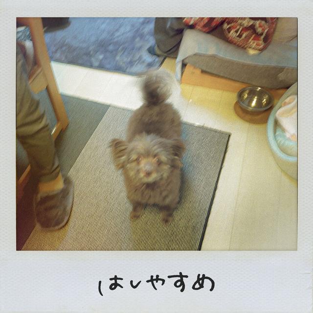 Album cover art for はしやすめ