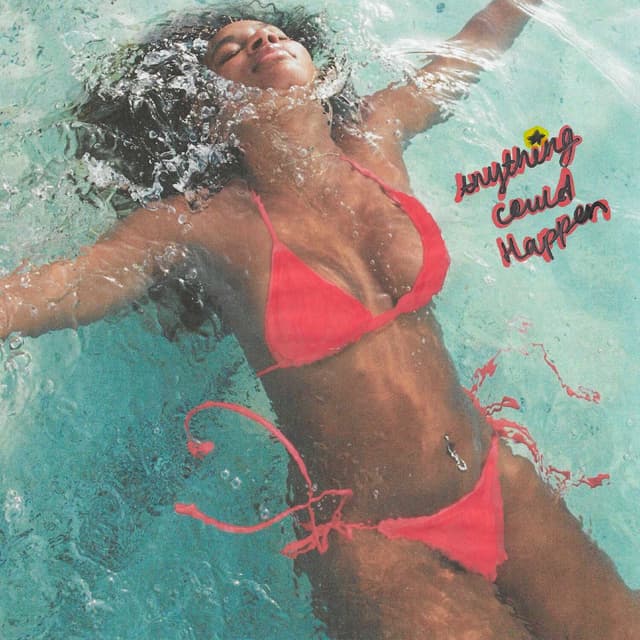 Album cover art for Anything Could Happen