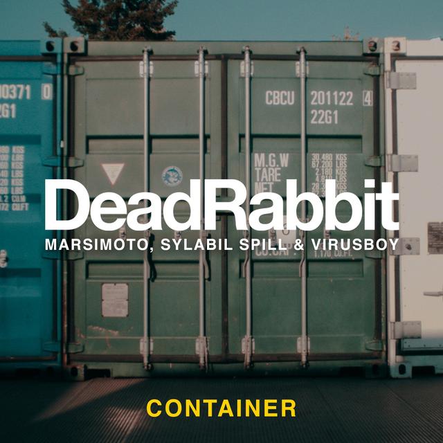 Album cover art for Container