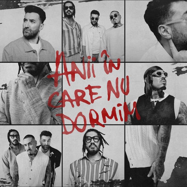 Album cover art for Anii în care nu dormim