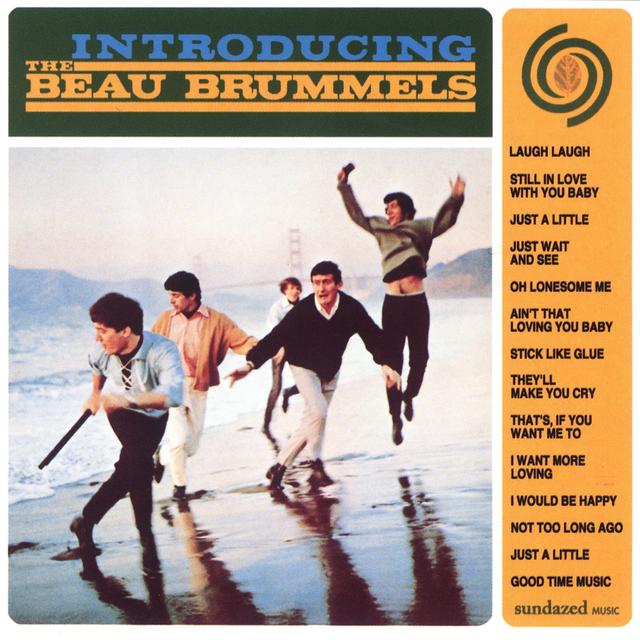 Album cover art for Introducing the Beau Brummels