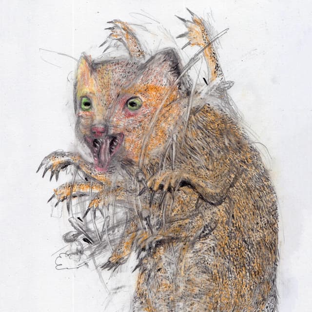 Album cover art for Mongoose