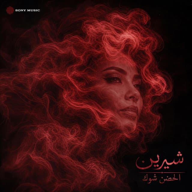 Album cover art for El Hodn Shok