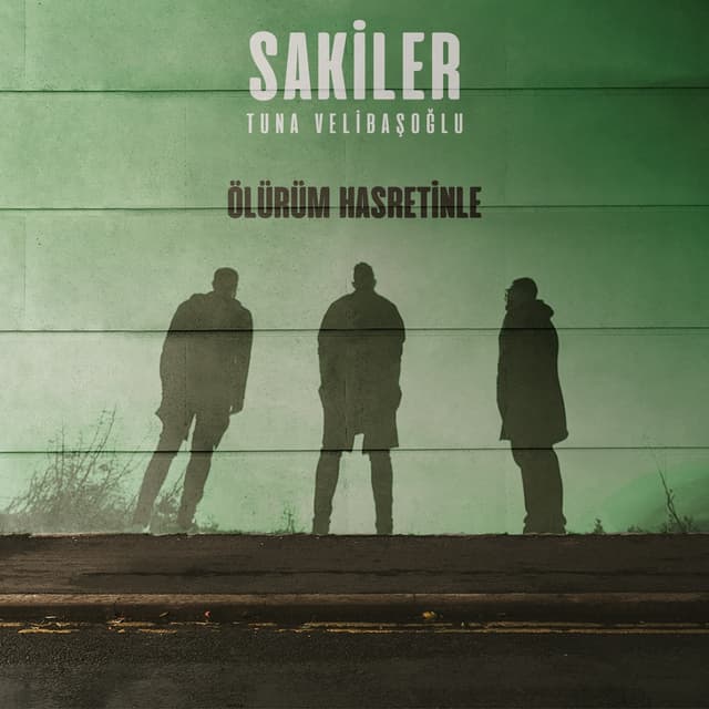 Album cover art for Ölürüm Hasretinle
