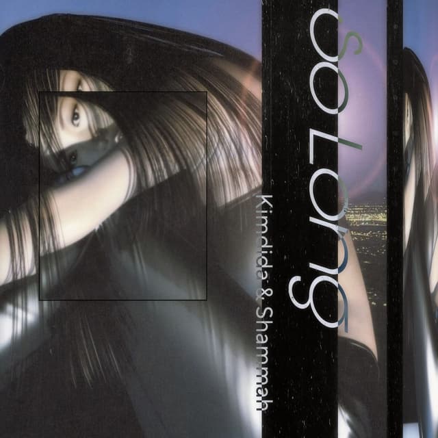 Album cover art for So Long . .