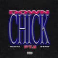 Album cover art for Down Chick PT. II