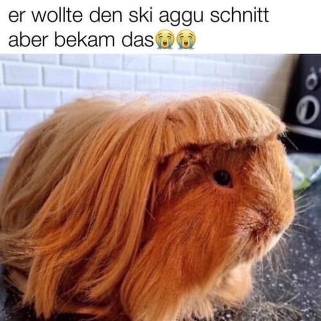 Album cover art for Hubba Bubba