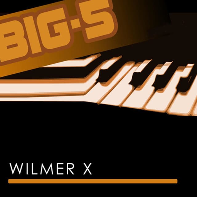 Album cover art for Big-5 : Wilmer X
