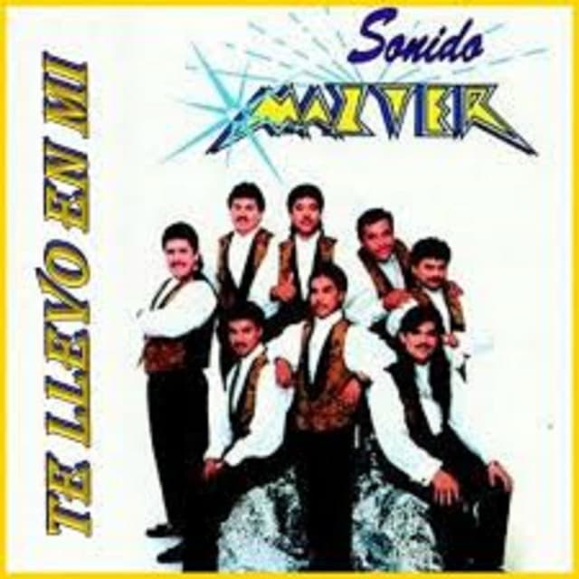 Album cover art for Te Llevo en Mi