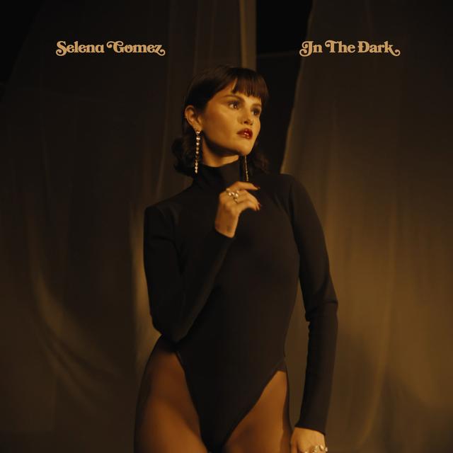 Album cover art for In The Dark