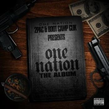 Album cover art for One Nation