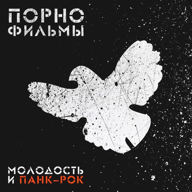 Album cover art for Молодость и панк-рок