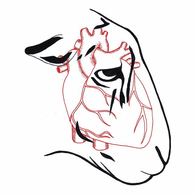 Album cover art for I'm Not Here to Make Friends