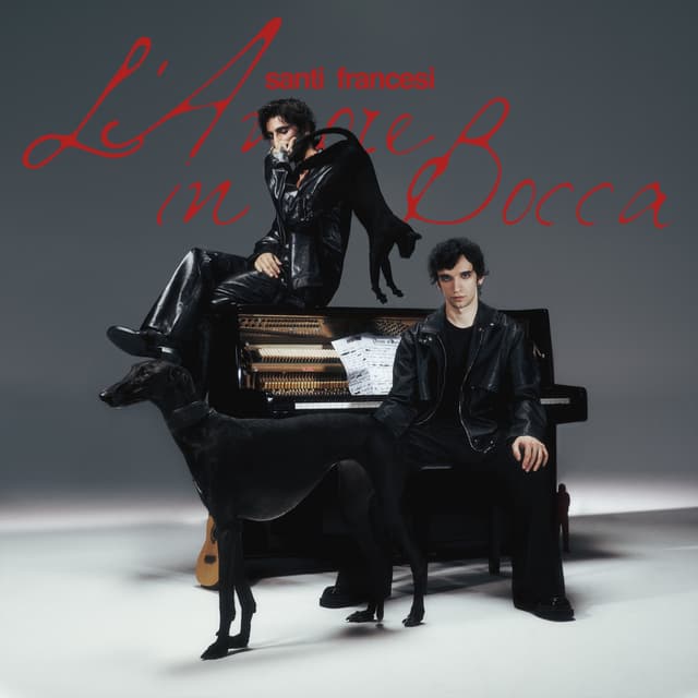 Album cover art for l'amore in bocca