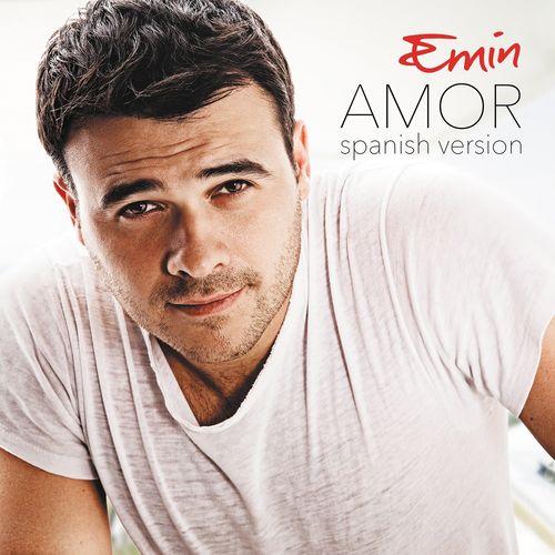 Album cover art for Amor