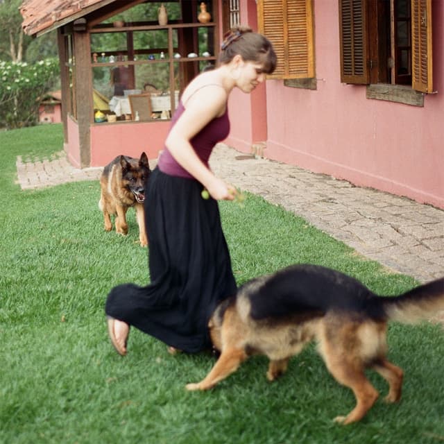 Album cover art for Dog (everybody learns)