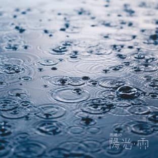 Album cover art for Yang Guang Yu