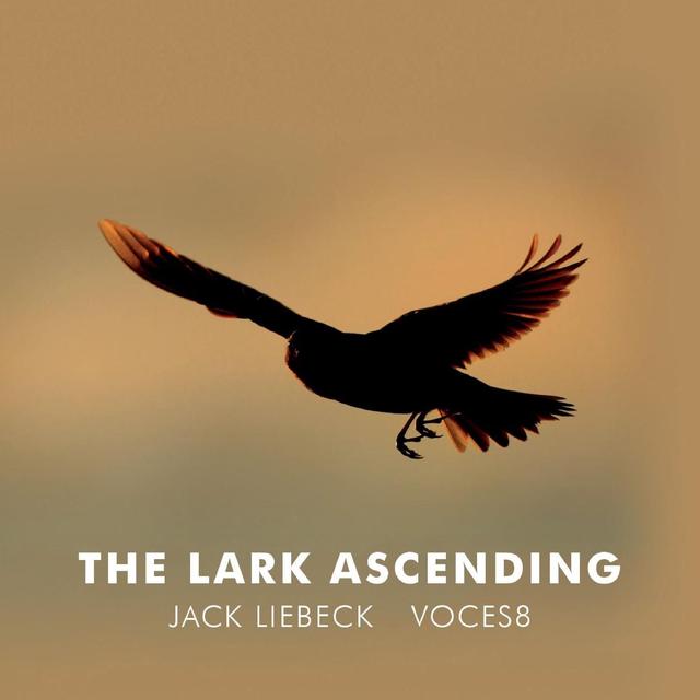 Album cover art for The Lark Ascending (Arr. for violin and choir by Paul Drayton)