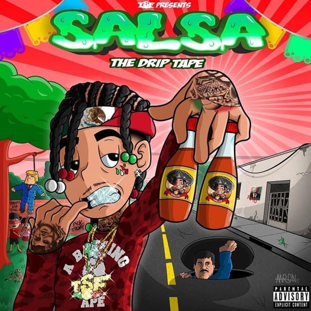 Album cover art for Salsa