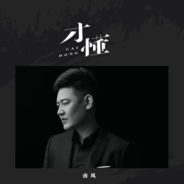 Album cover art for 才懂