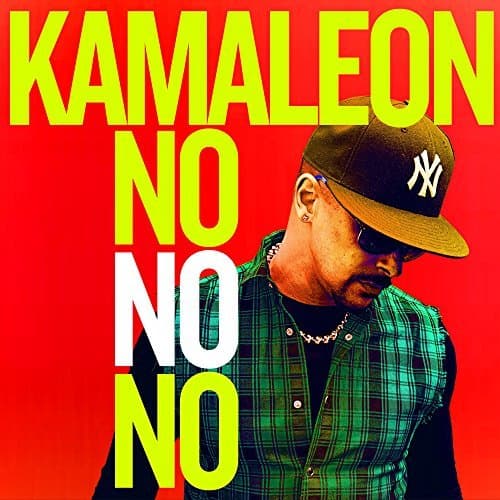 Album cover art for No No No