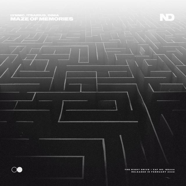 Album cover art for Maze Of Memories