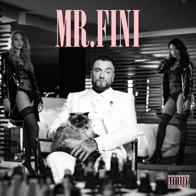 Album cover art for Mr. Fini