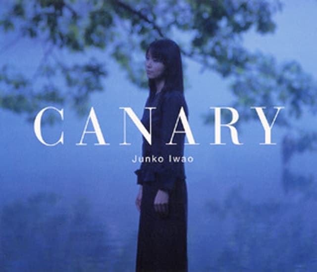 Album cover art for CANARY