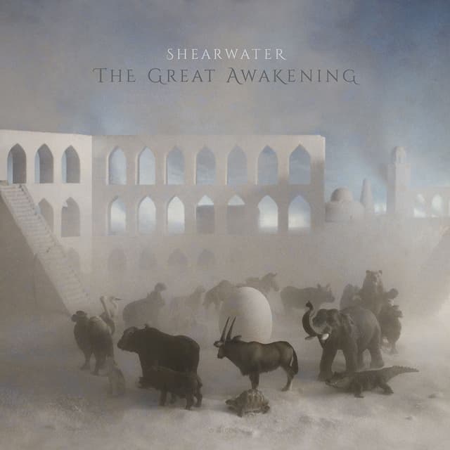 Album cover art for The Great Awakening