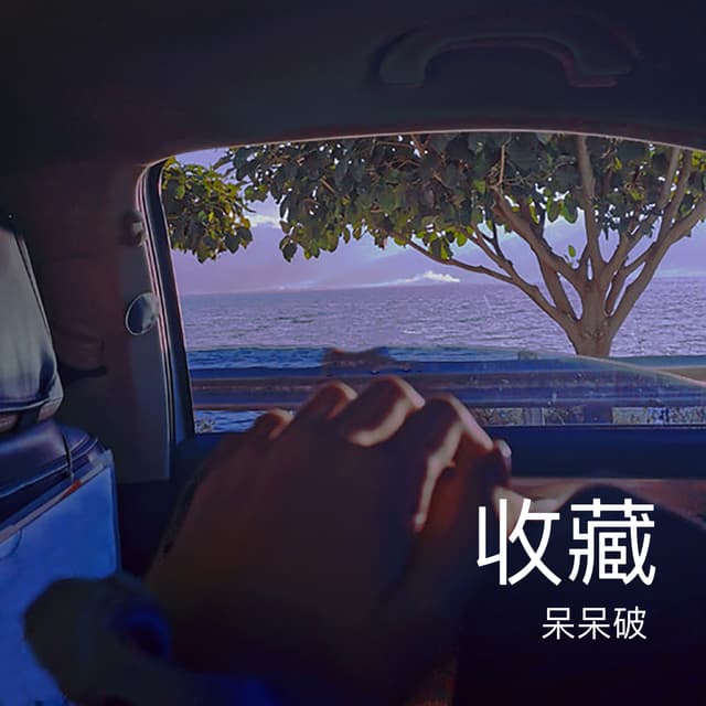 Album cover art for 收藏