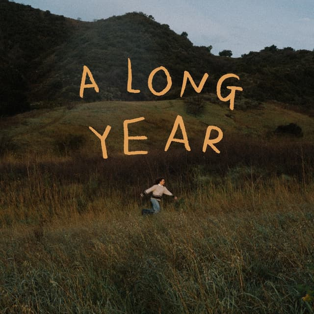 Album cover art for A Long Year