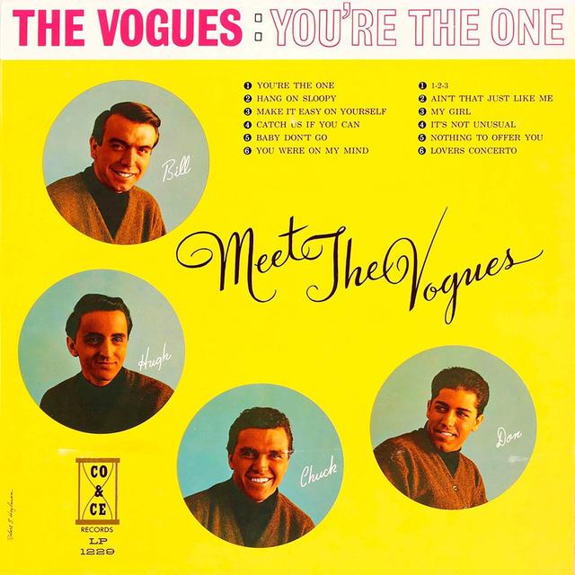 Album cover art for Meet The Vogues