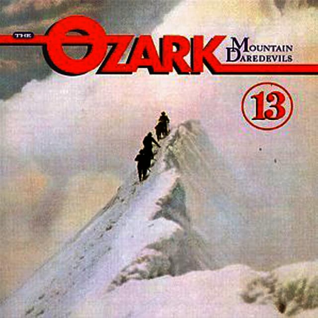 Album cover art for 13