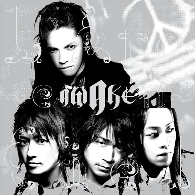 Album cover art for Awake