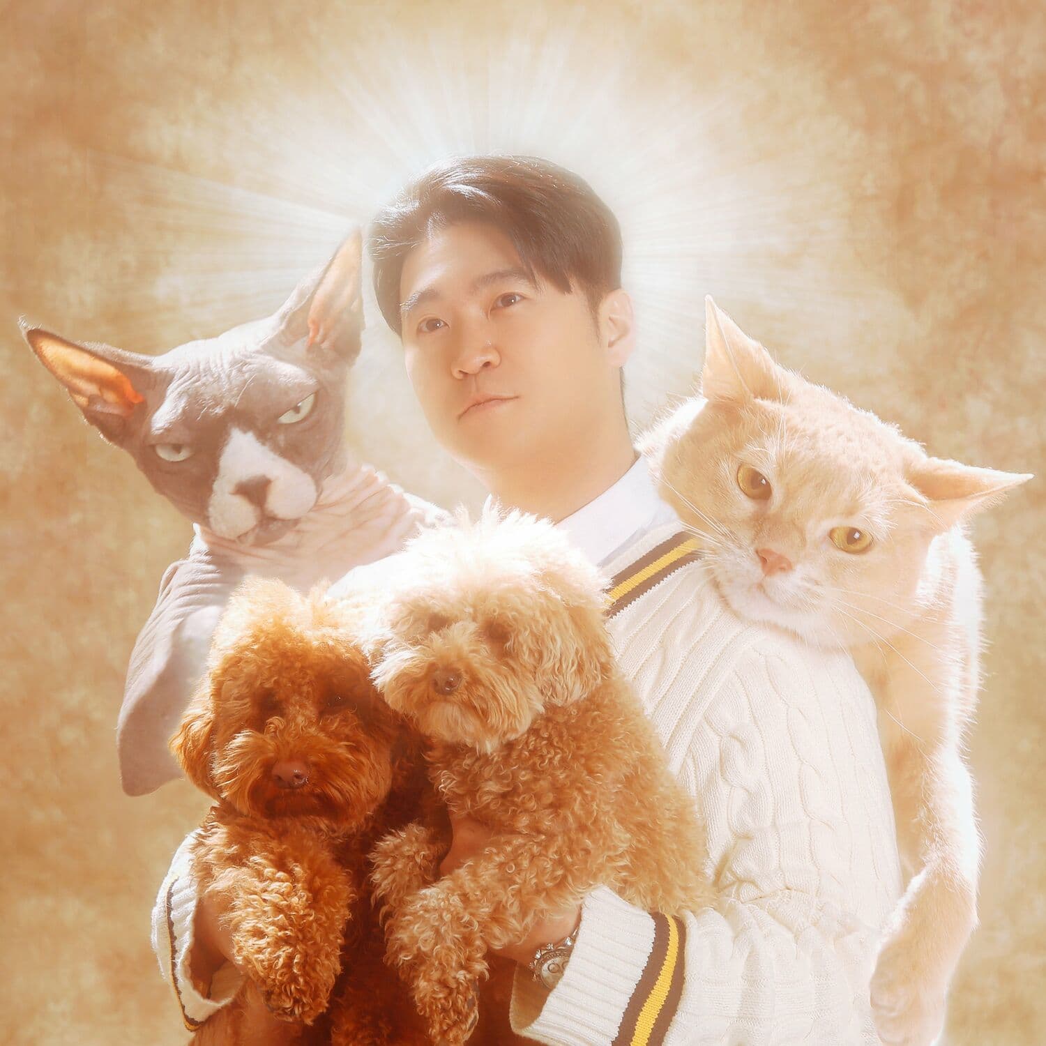 Lyric cover art