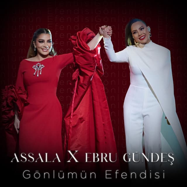 Album cover art for Gönlümün Efendisi