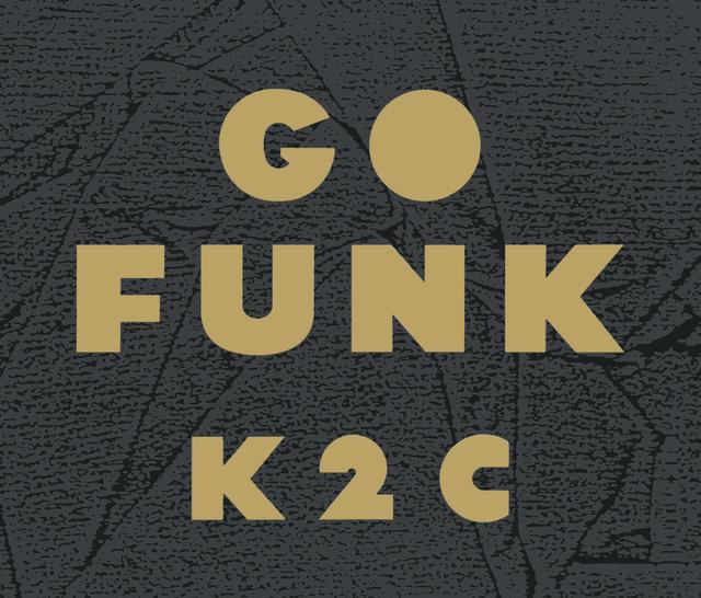 Album cover art for GO FUNK