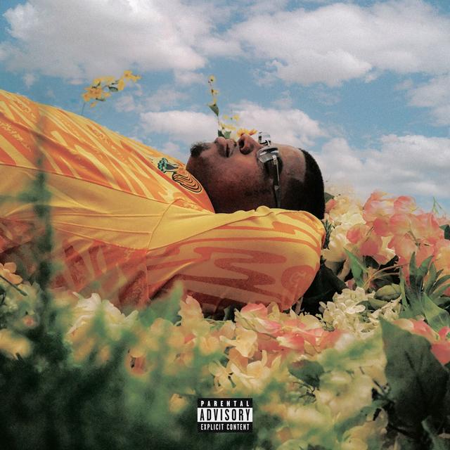 Album cover art for Don't Box Me In