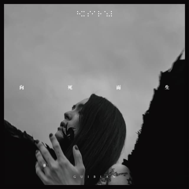 Album cover art for 向死而生