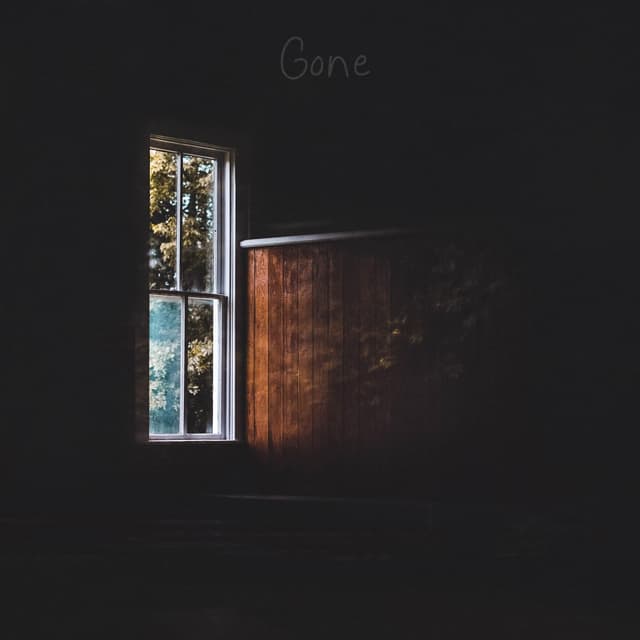 Album cover art for Gone
