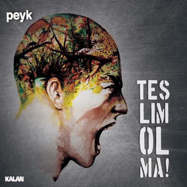 Album cover art for Teslim Olma!