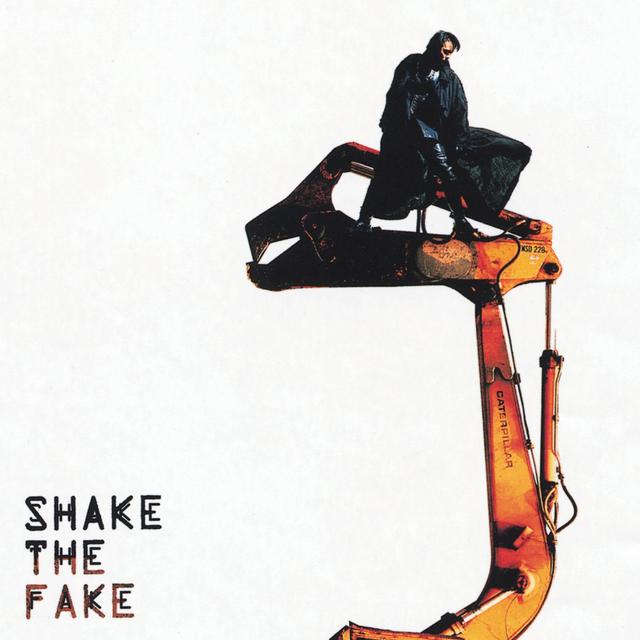 Album cover art for Shake the Fake