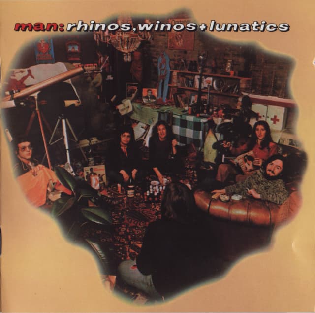 Album cover art for Rhinos, Winos & Lunatics