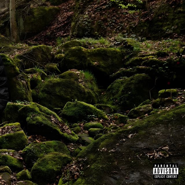 Album cover art for NEZHASNU