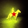 STAMPEDE