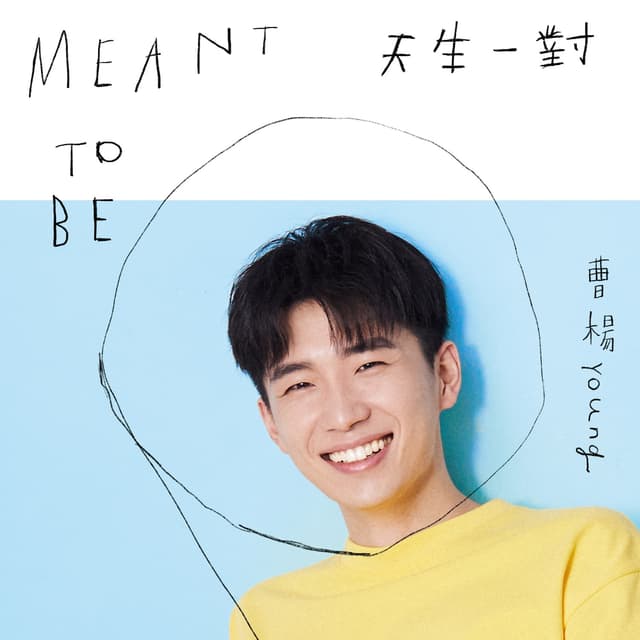 Album cover art for 天生一對